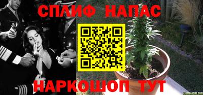 СК Рузаевка