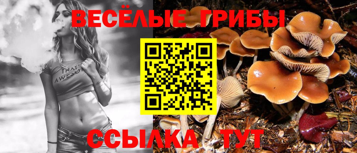 Галлюциногенные грибы Psilocybine cubensis  Псилоцибиновые грибы ЛСД  Реж  Вход с VPN 